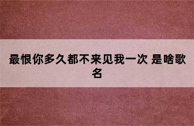 最恨你多久都不来见我一次 是啥歌名